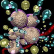 SEO 技術を利用して、魅惑的な泡で満たされた背景内に巧みにキャプチャされた細胞を描写する魅惑的な 3D 画像。