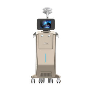 The Best Permanent E Light Professional IPL Photofacial Machine For Home Use with a monitor.