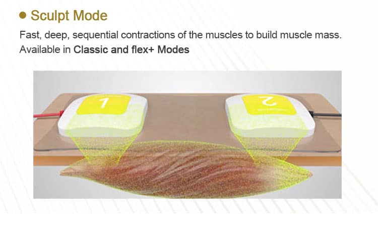 筋肉を増強するために使用されるTrusculpt Flex Machine RFボディ痩身デバイス3Dボディスカルプトセラピーのイメージ。